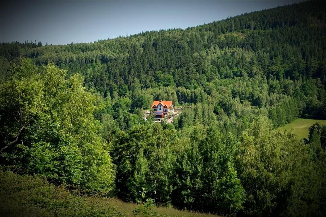Apartamety i Pokoje Gościnne Na Jaskółczej Świeradów-Zdrój Exterior foto